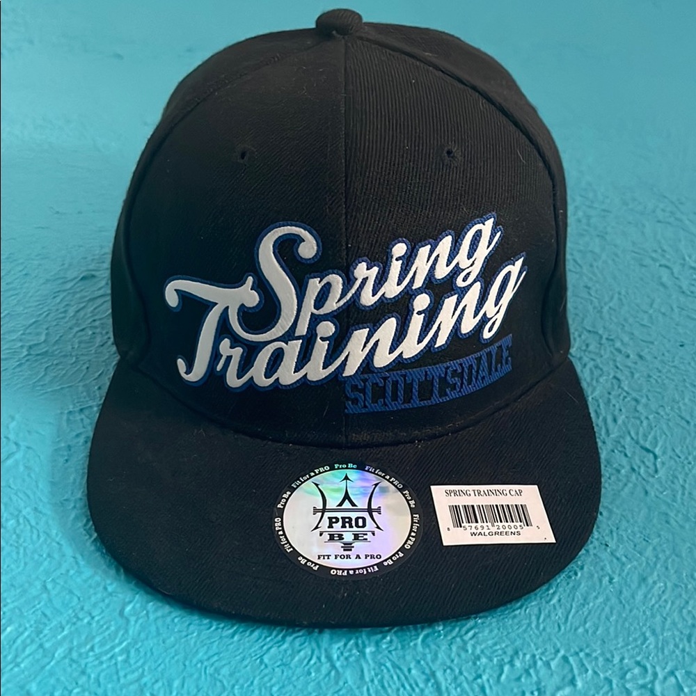 Pro Tee Spring Training Cap - Black